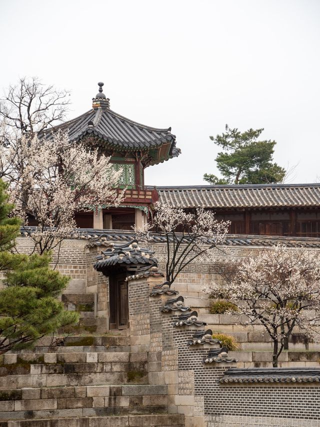 한옥과 꽃을 조화는 사랑이죠❣️