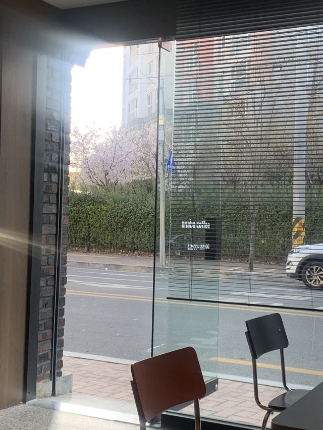[대구] 음악 좋고 친절한데 커피까지 맛있는, 아나바커피