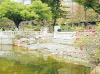 青衣公園