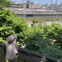 子鉄はたまらない新幹線の見える飛鳥山公園