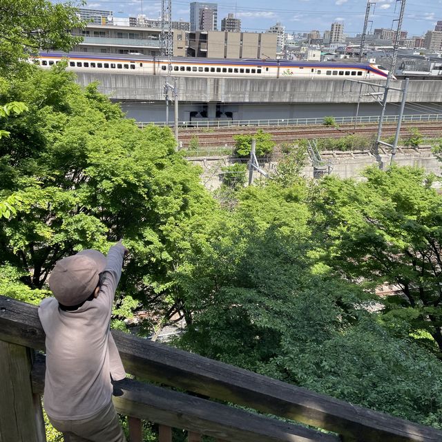 子鉄はたまらない新幹線の見える飛鳥山公園