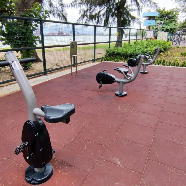 圍封多時，休養生息後的公園及海灘