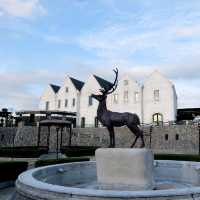 8 things You must Do & See in Khao Yai
