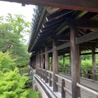【京都】絵になる絶景！東福寺の通天橋
