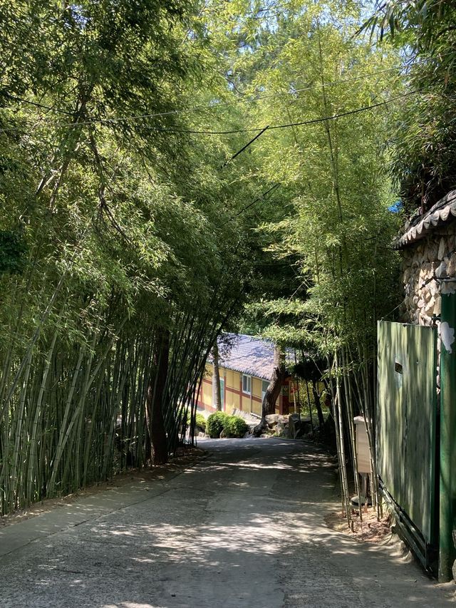 부산 바다 위의 절