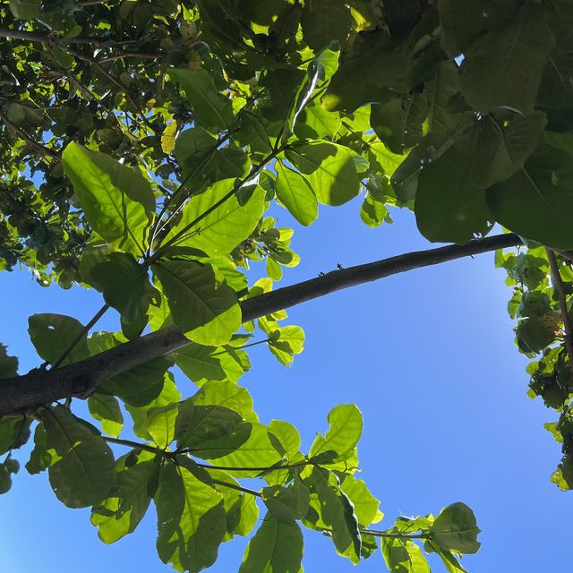 花蓮沿海公路美麗造景｜通往天堂的階梯，吸引好多人來拍照