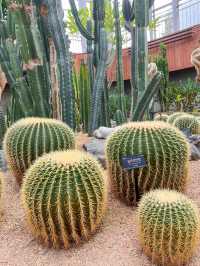 실내에서 즐기기 좋은 부천식물원🌵💚