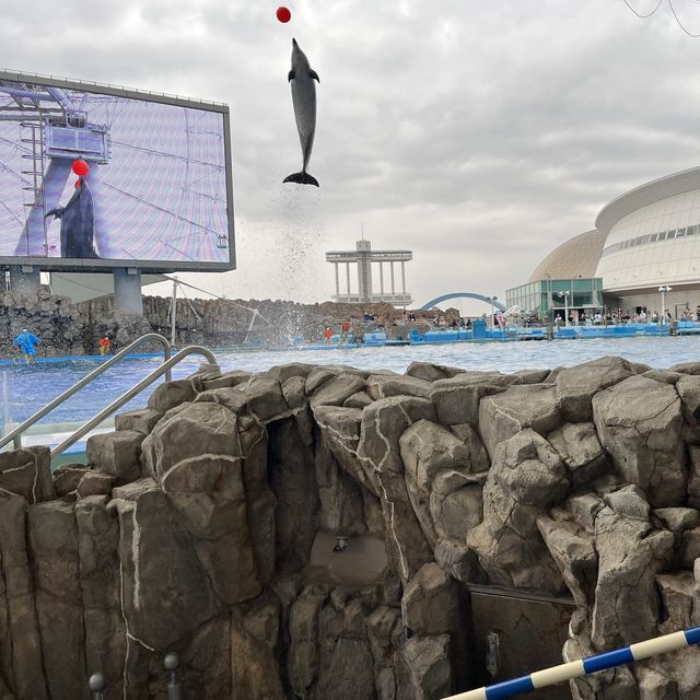世界最大級野外水槽、日本一広い水族館
