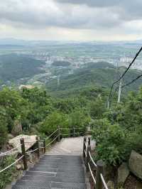 계양산 ⛰️ 수도권 등산하기 좋은 곳