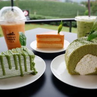🍵พาแอ่ว…..ไร่ชาฉุยฟง