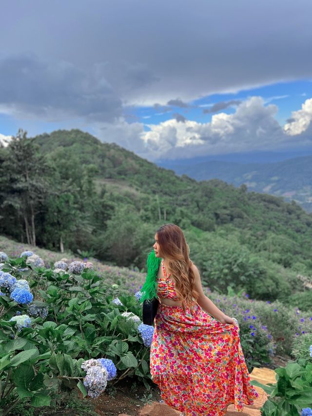 พาไปจิบกาแฟ ชมวิว ชมดอก กับคาเฟ่ชื่อดังบนม่อนแจ่ม⛰