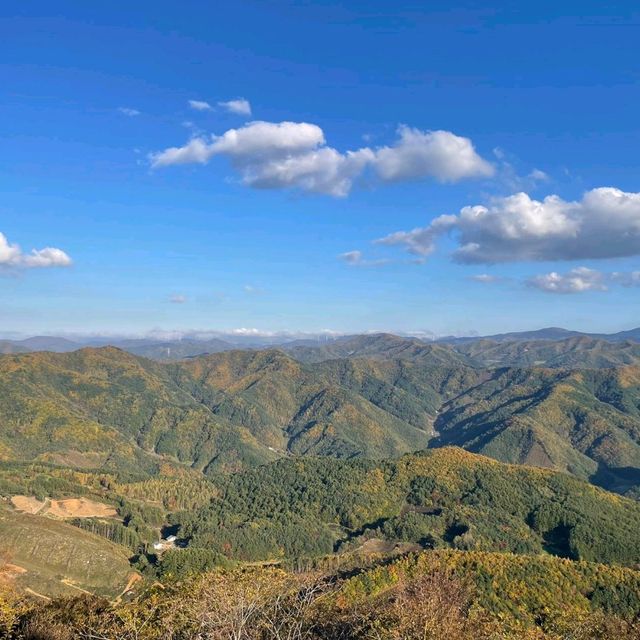억새꽃 천국 민둥산!