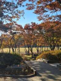 단풍과 억새 구경하며 산책하기 좋은 공원