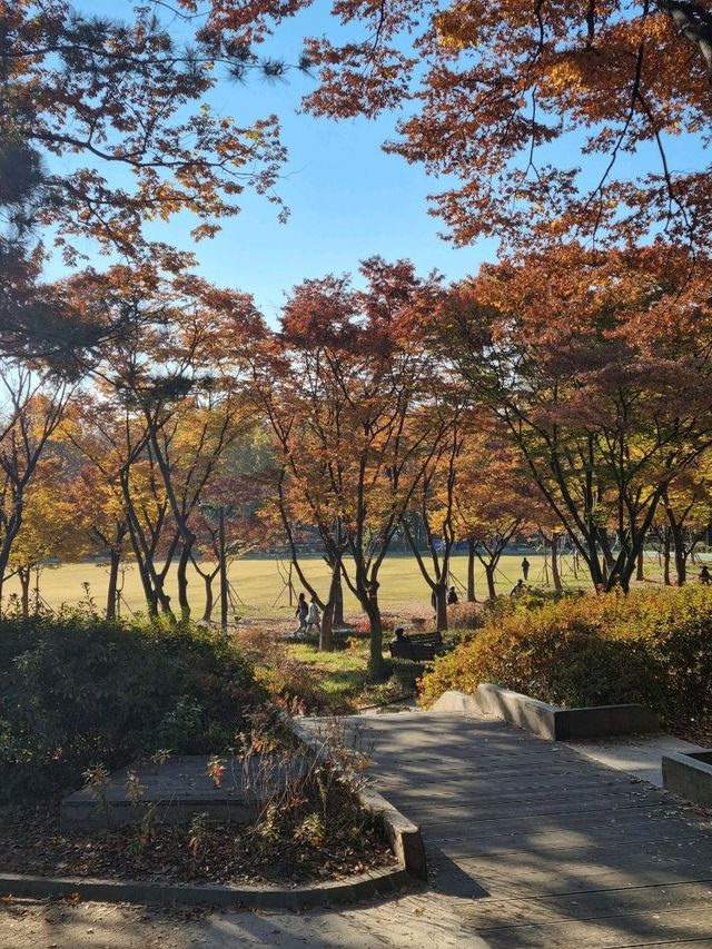단풍과 억새 구경하며 산책하기 좋은 공원