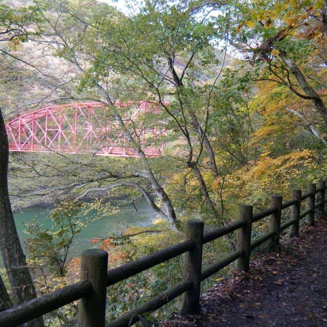 🍁紅葉最高‼️🍁　広島・三段峡🍁