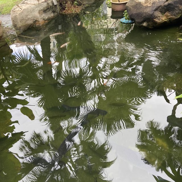 A place where memories are made