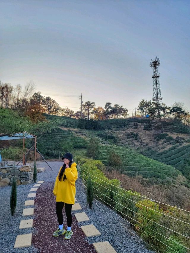하동 카페녹음, 힐링이 시작되는 곳이란 자신감🌳