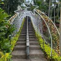 東南植物楽園のイルミネーション