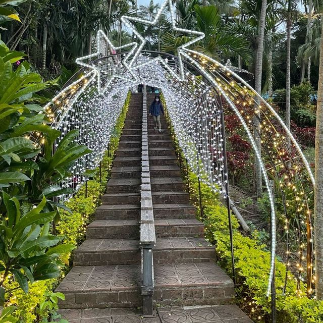 東南植物楽園のイルミネーション