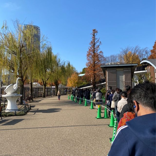도쿄 우에노 동물원