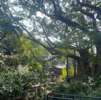古色古香九龍公園