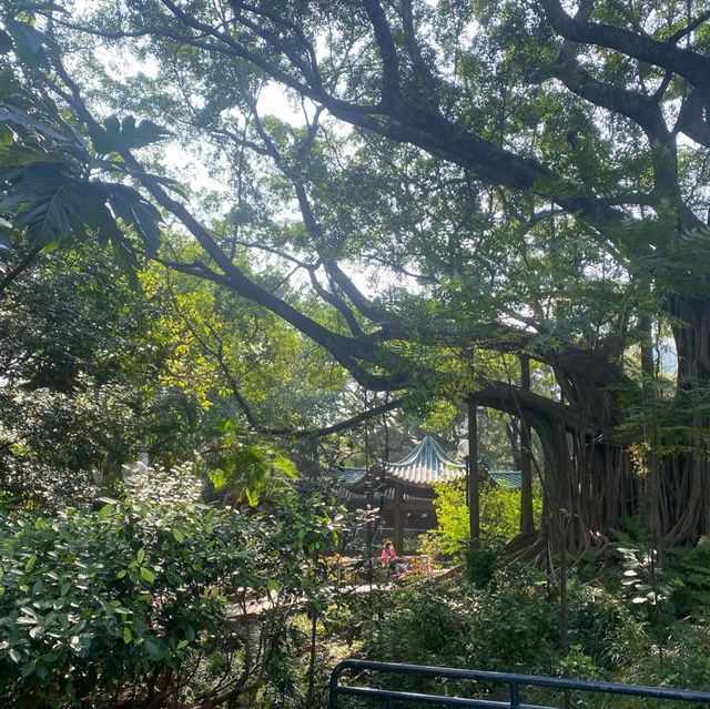 古色古香九龍公園
