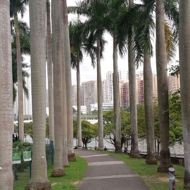 沙田中央公園