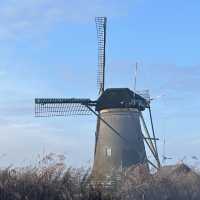 Nederwaard Museum Mill