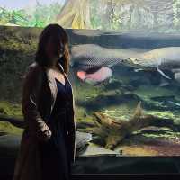 #aquamarine science museum🐠🐬🐳🐡