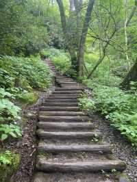 Chimney Top Trail - Smoky National Park