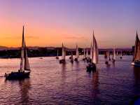 Unforgettable boat racing experience in MDR