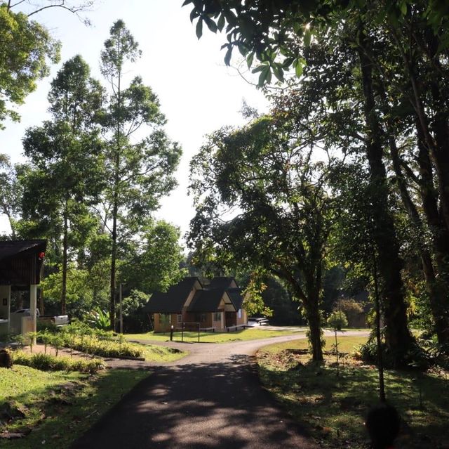 อุทยานแห่งชาติเขาคิชฌกูฏ 