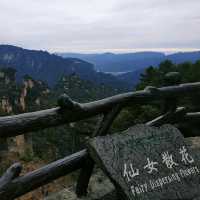 a lifetime trip to the land of "Avatar"! 