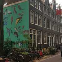 Best area in Amsterdam for food and drink