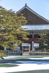 서울 겨울 여행 "경복궁 설경"