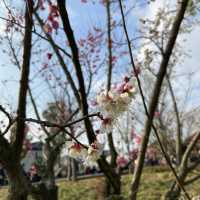 Guangfulin Cultural Park, Beautiful!