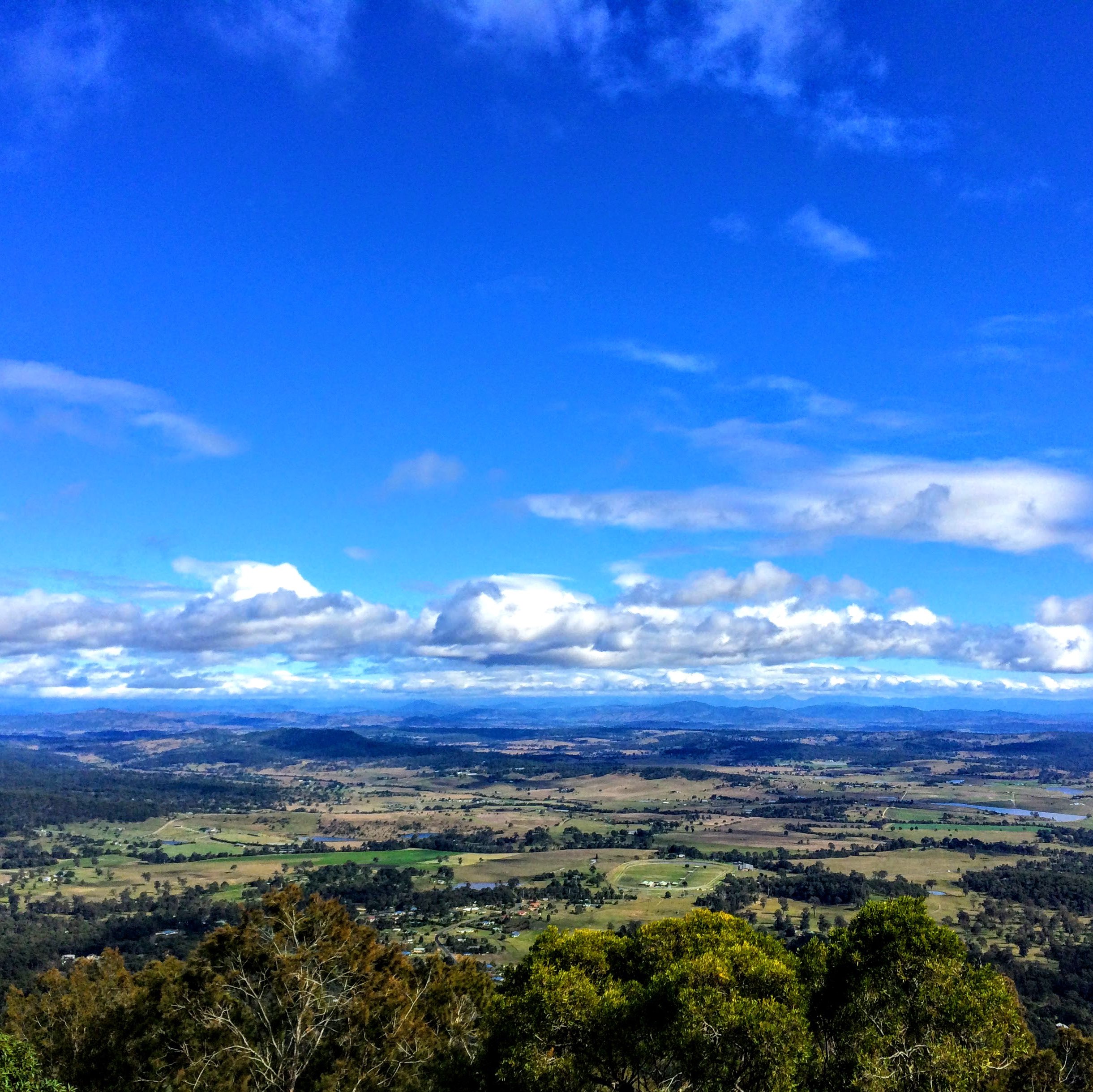 Things to Do in Mount Tamborine in 2024 Top Attractions, Local Food