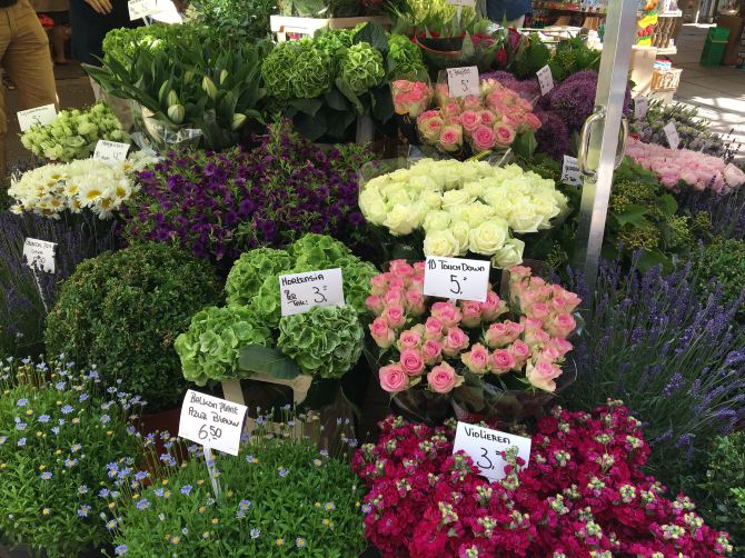 Flower Market ศูนย์รวมดอกไม้แห่ง Amsterdam