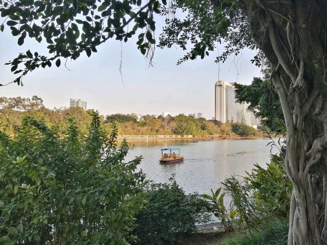 Relaxing at the West Lake Park in Fuzhou! 