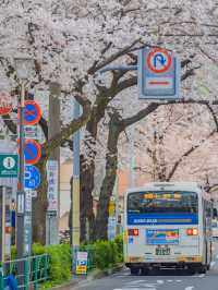 Nakano Ward, Arakawa Yakushi