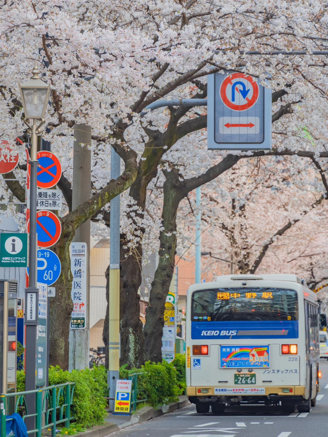 Nakano Ward, Arakawa Yakushi