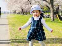 Cherry blossom season is coming again, I really want to go and see the Tamagawa River of the past.
