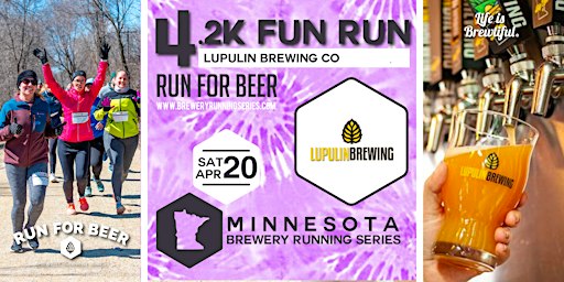 4.2k Beer Run x Lupulin Brewing | 2024 MN Brewery Running Series | Lupulin Brewing