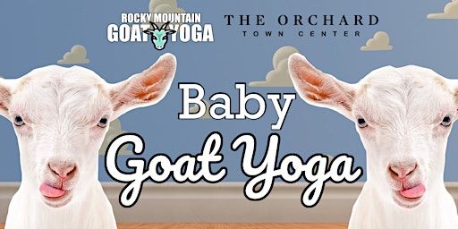 Baby Goat Yoga - March 16th (Orchard Town Center) | The Orchard Town Center
