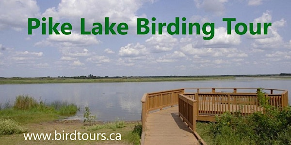 Pike Lake Sandhill Crane Tour | Esso Station Parking Lot