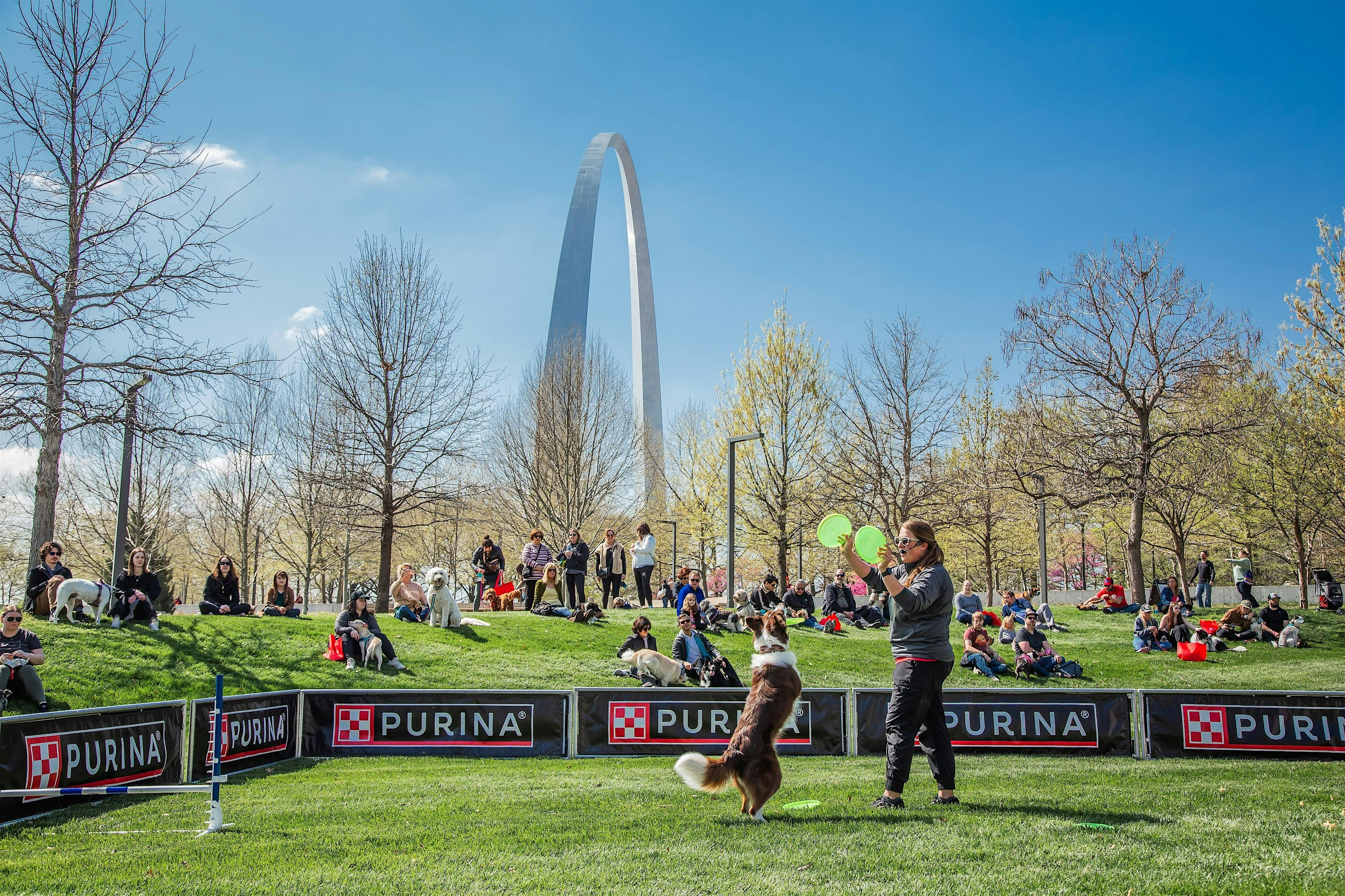 Arch Bark | North Gateway at Gateway Arch National Park