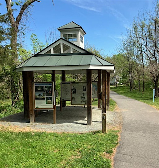 Guided Walk:  Summertime in the Forest at Ivy Creek | Ivy Creek Nature Area