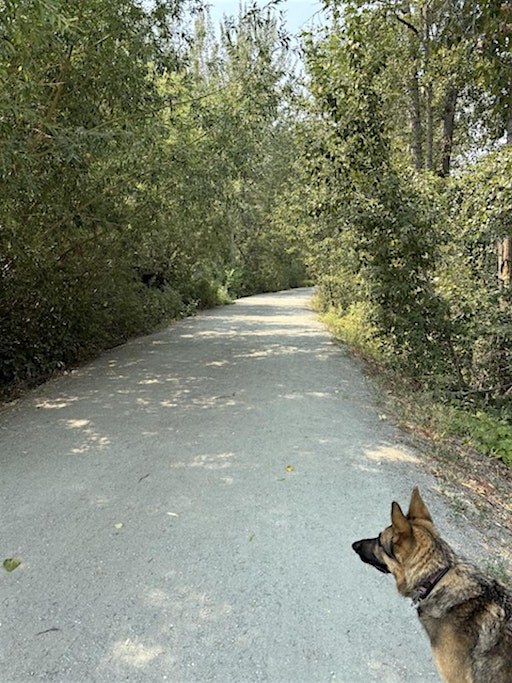 Walik with Michelle & Sadie | Mission Creek Greenway Regional Park