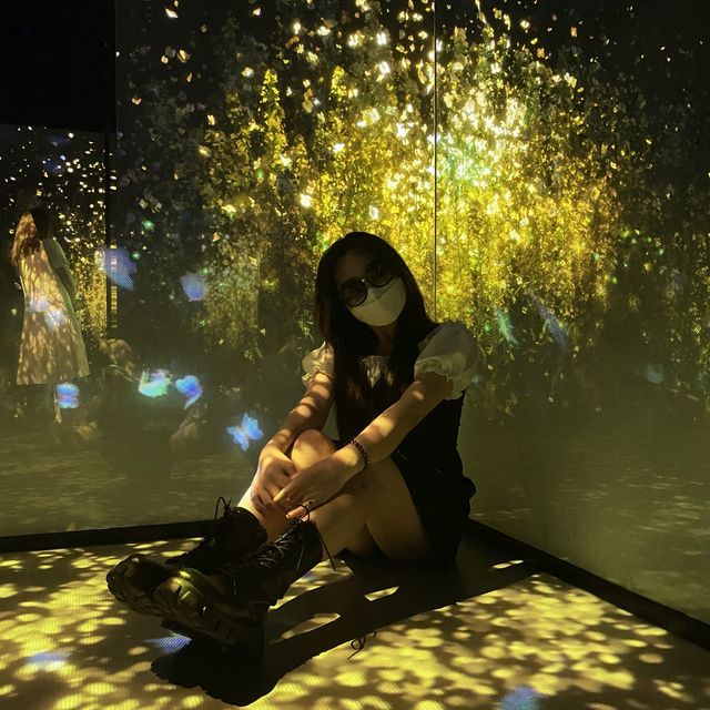 아르떼 뮤지엄🎭