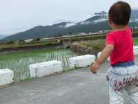 【台東鹿野‧景點】台灣唯一景觀拱型水橋---二層坪水橋  